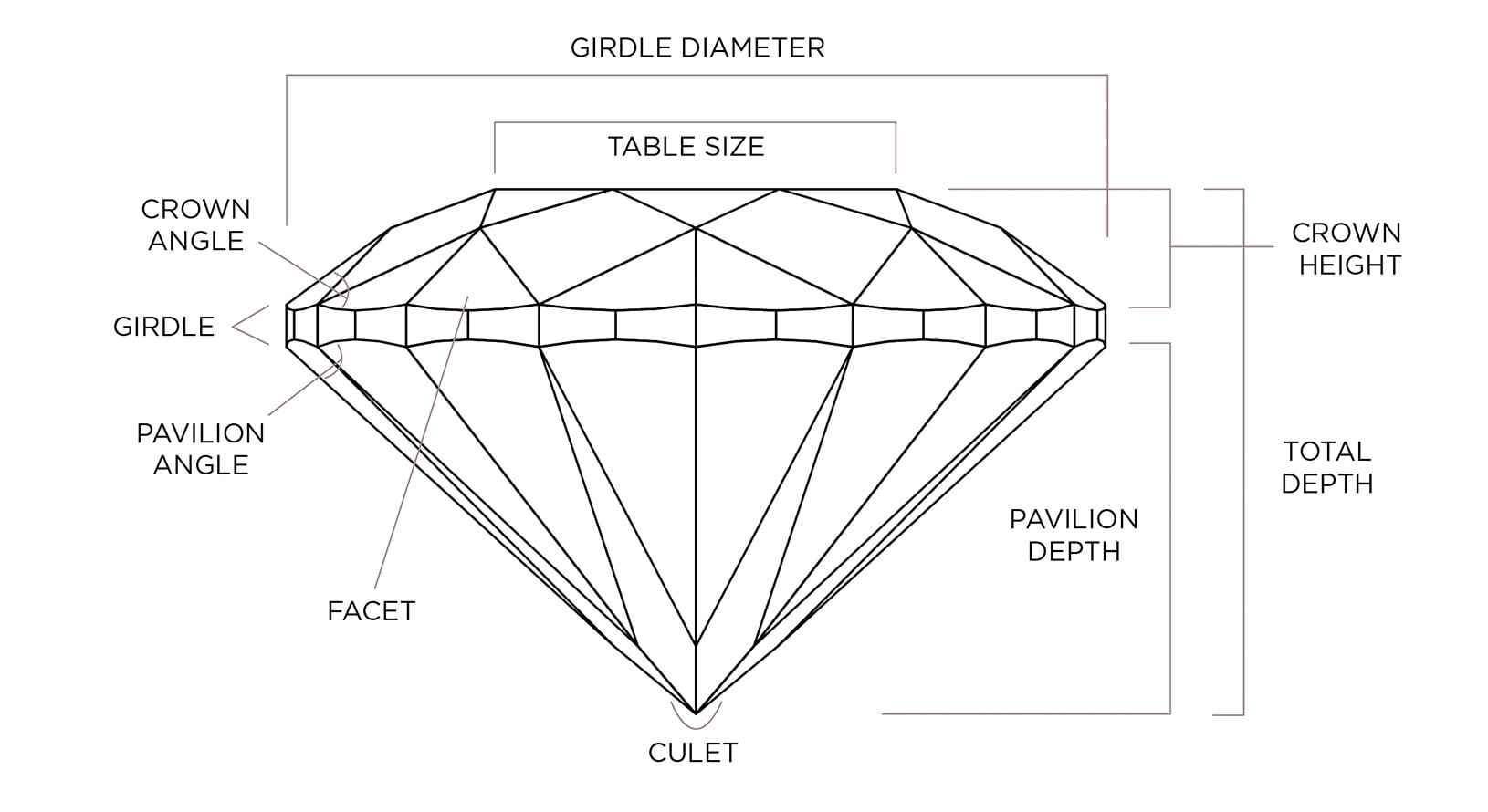 Diamond anatomy diagram